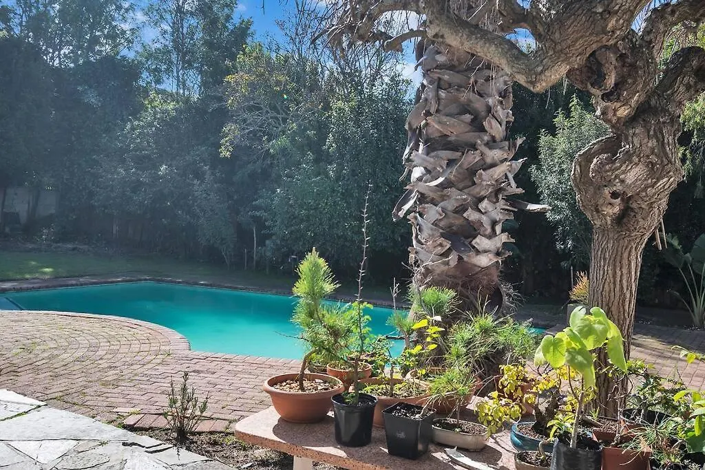 Diep River Family Home With Pool Braai Κέιπ Τάουν Σπίτι διακοπών