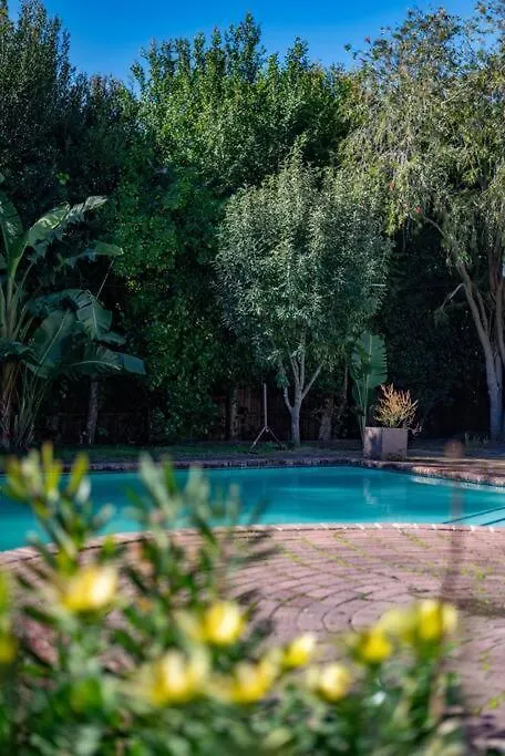 Diep River Family Home With Pool Braai Κέιπ Τάουν Σπίτι διακοπών