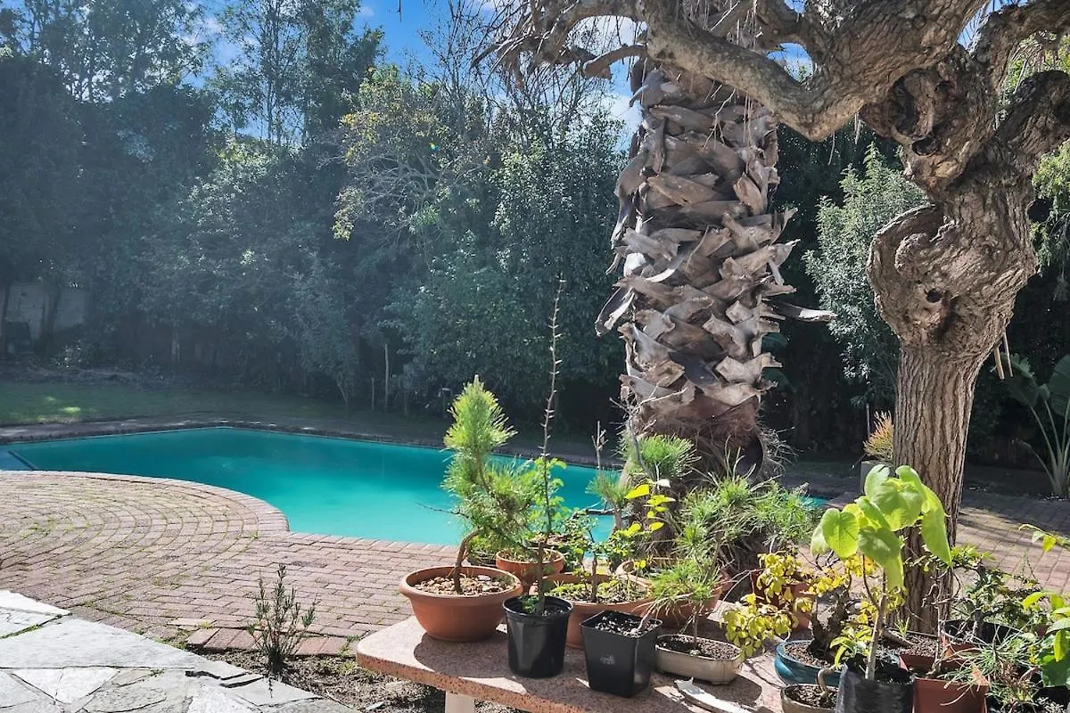 Diep River Family Home With Pool Braai Κέιπ Τάουν
