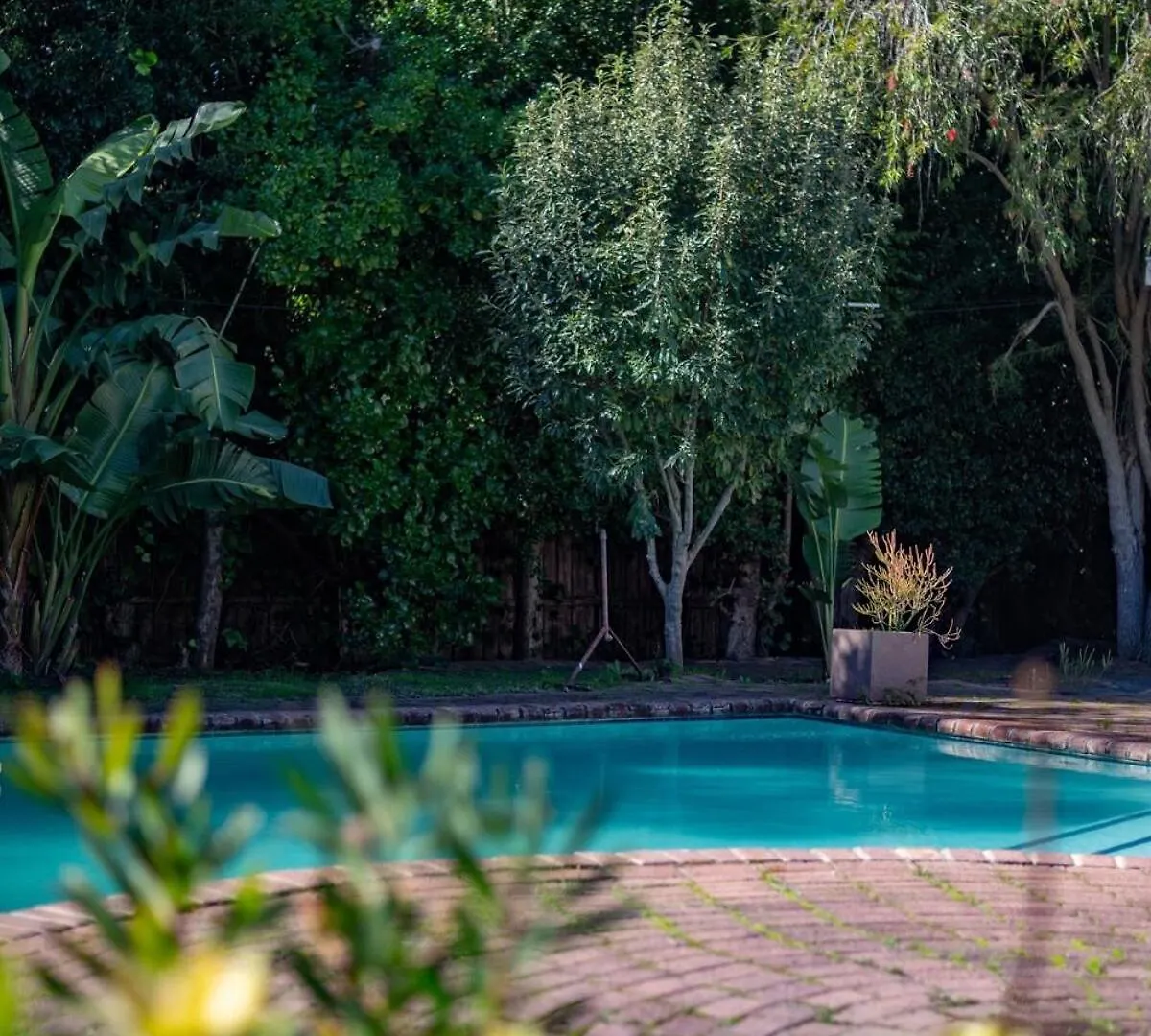 Diep River Family Home With Pool Braai Κέιπ Τάουν Σπίτι διακοπών